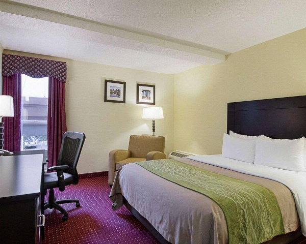 Quality Inn & Suites Little Rock West image 7